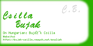 csilla bujak business card